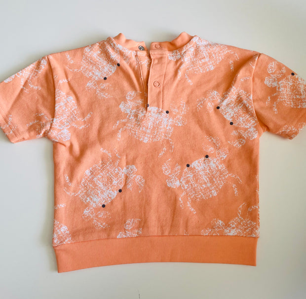 Toddler Boy “Make Waves” Crab Print T-Shirt & Shorts Set with Sunglasses