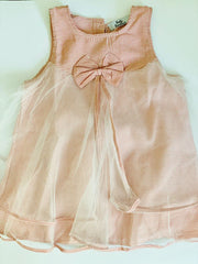 Pink Net Dress
